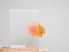 Broschüren und Kataloge,  Corporate Design,  Aktion 2022,  Haustüren,  PaXentrée Aluminium